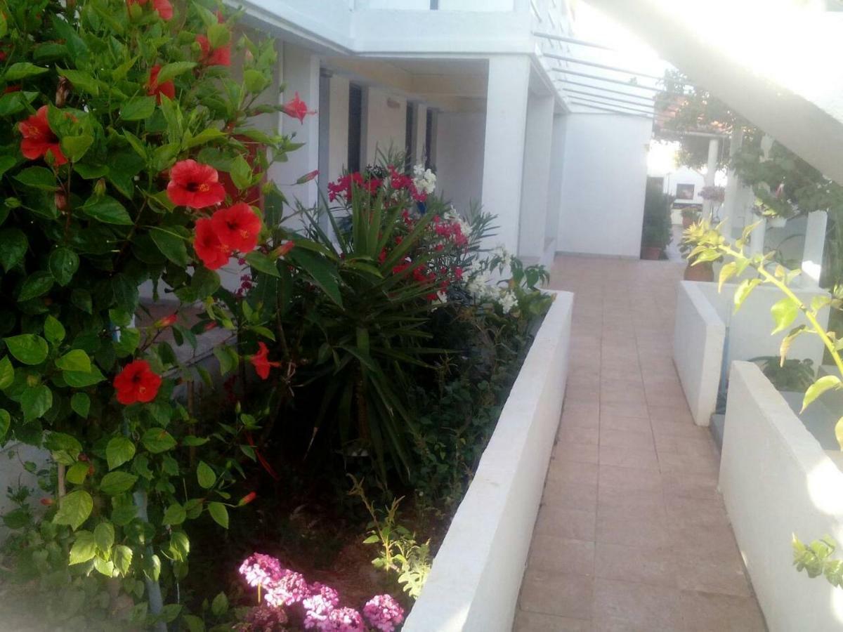 Villas Irene 5 Family Apartments Kokkini Hani Екстер'єр фото