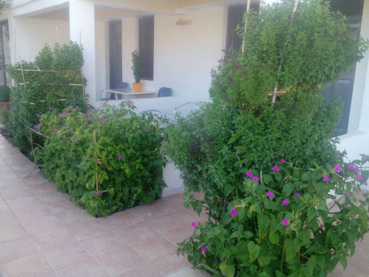 Villas Irene 5 Family Apartments Kokkini Hani Екстер'єр фото