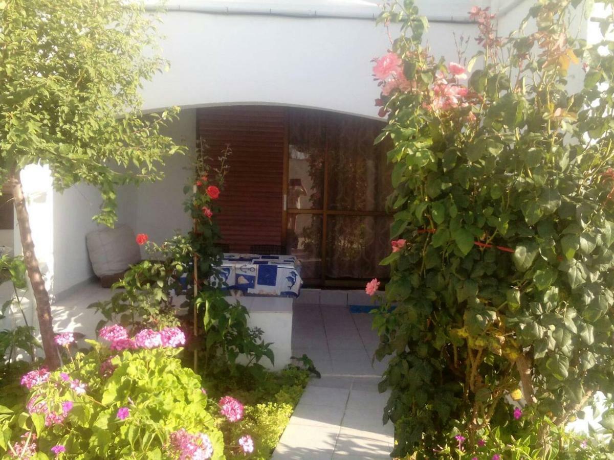 Villas Irene 5 Family Apartments Kokkini Hani Екстер'єр фото